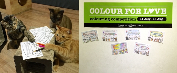 colouring competition